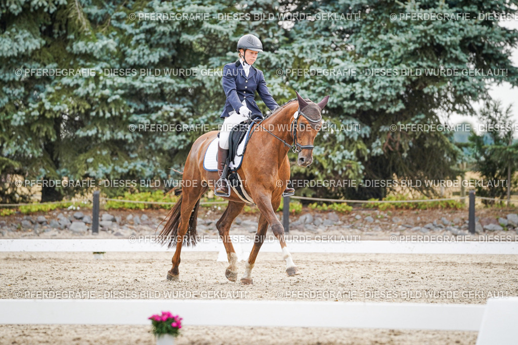 DSC00380 | Pferdegrafie