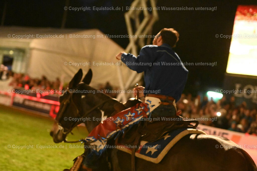 20230526_Pferdenacht_1223 | equistock