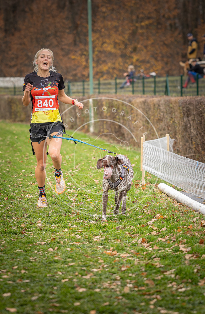 CaniXpix_DV3A6224 | Hundefotografie, Tierfotograf, Pfotenfotografie, Fotoshooting Hund, Hunde Portrait, Hundesport, Hundeportraits, Heideshooting, Hunde, Sportfotograf, Hundefotograf, Turnierhundsport, THS,  - Realisiert mit Pictrs.com