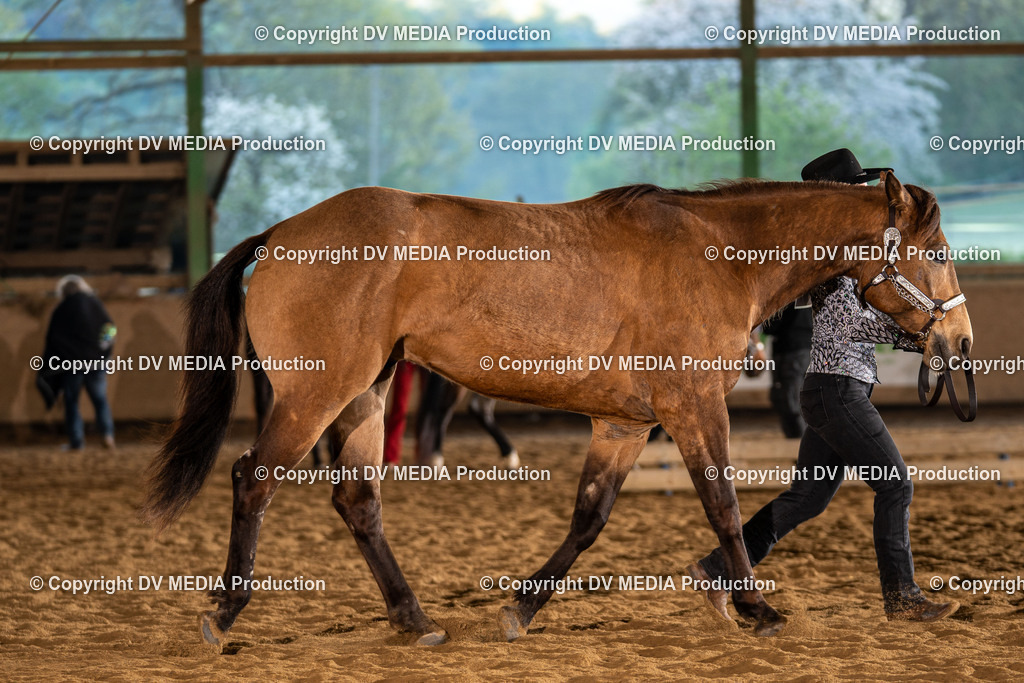 Balingen Tag 1-212 | dv-media-shop - Realisiert mit Pictrs.com