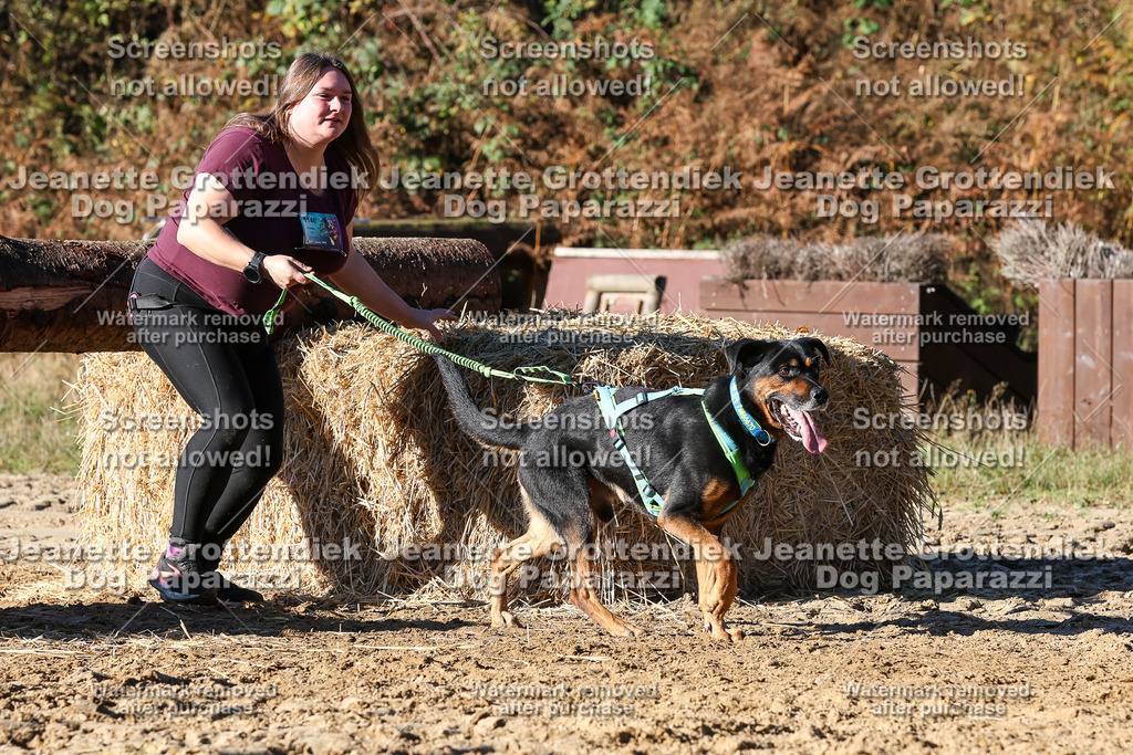Dog Paparazzi - Strongdog 10-25-1895 | Dog Paparazzi Jeanette Grottendiek Fotografie & Videografie - Realisiert mit Pictrs.com