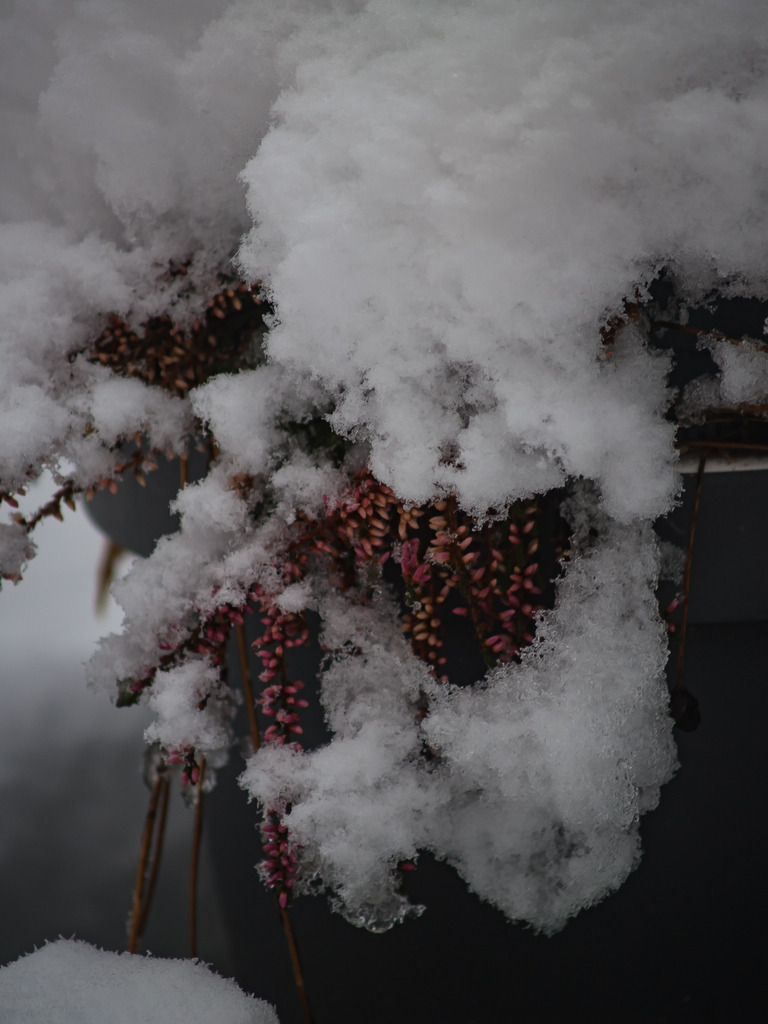 PSX_20230206_223300 | OLYMPUS DIGITAL CAMERA - Realisiert mit Pictrs.com