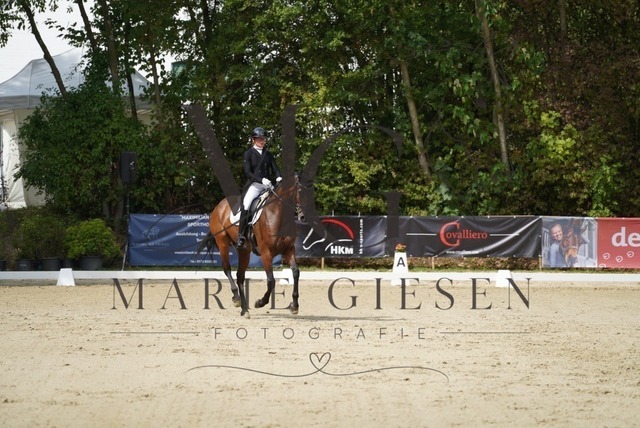 VAN02681 | Marie Giesen Fotografie - Realisiert mit Pictrs.com