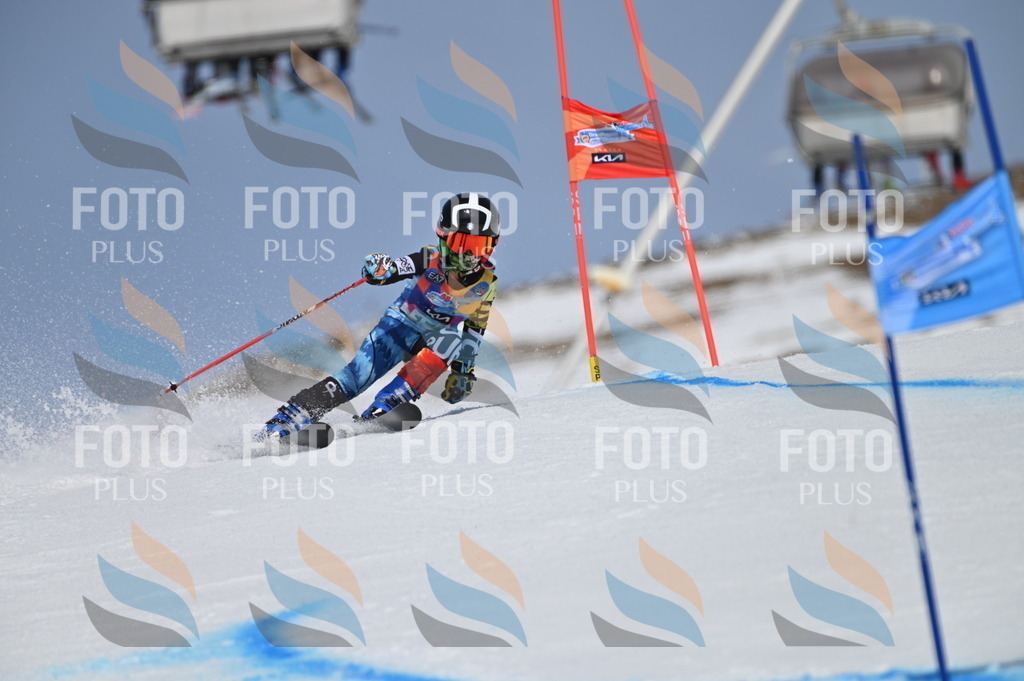 BGV_3463 | holidayphoto