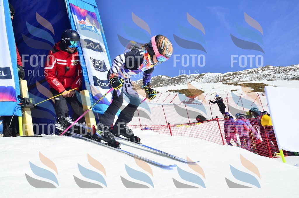 _ELE9817 | holidayphoto