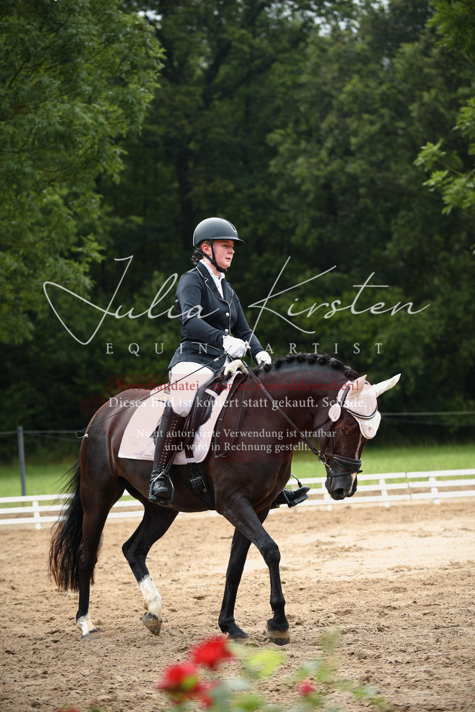DSC_9995 | Pferde- und Turnierfotografie in Westsachsen. Pferdeportraits, Auftragszeichnungen und intuitive Kunst.