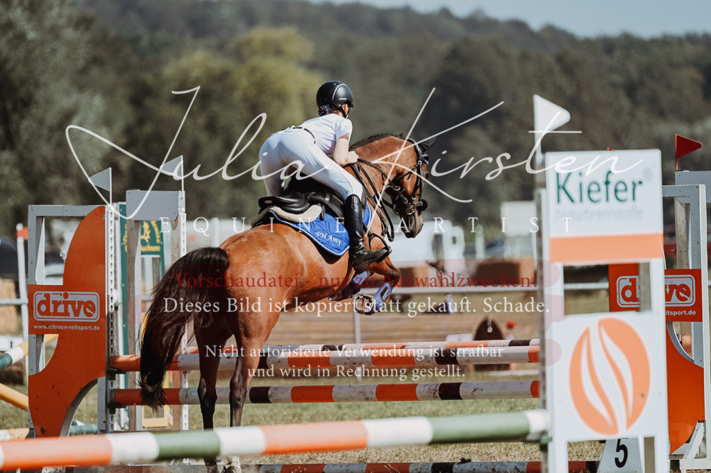 DSC_9622 | Pferde- und Turnierfotografie in Westsachsen. Pferdeportraits, Auftragszeichnungen und intuitive Kunst.