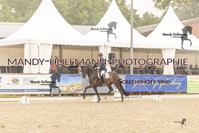 SW 4-1016 | mandyhollmannphotographie
