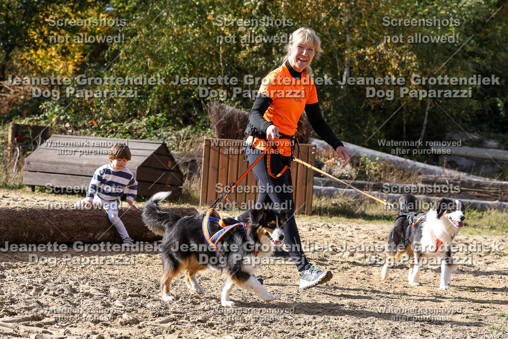 Dog Paparazzi - Strongdog 10-25-5927 | Dog Paparazzi Jeanette Grottendiek Fotografie & Videografie - Realisiert mit Pictrs.com