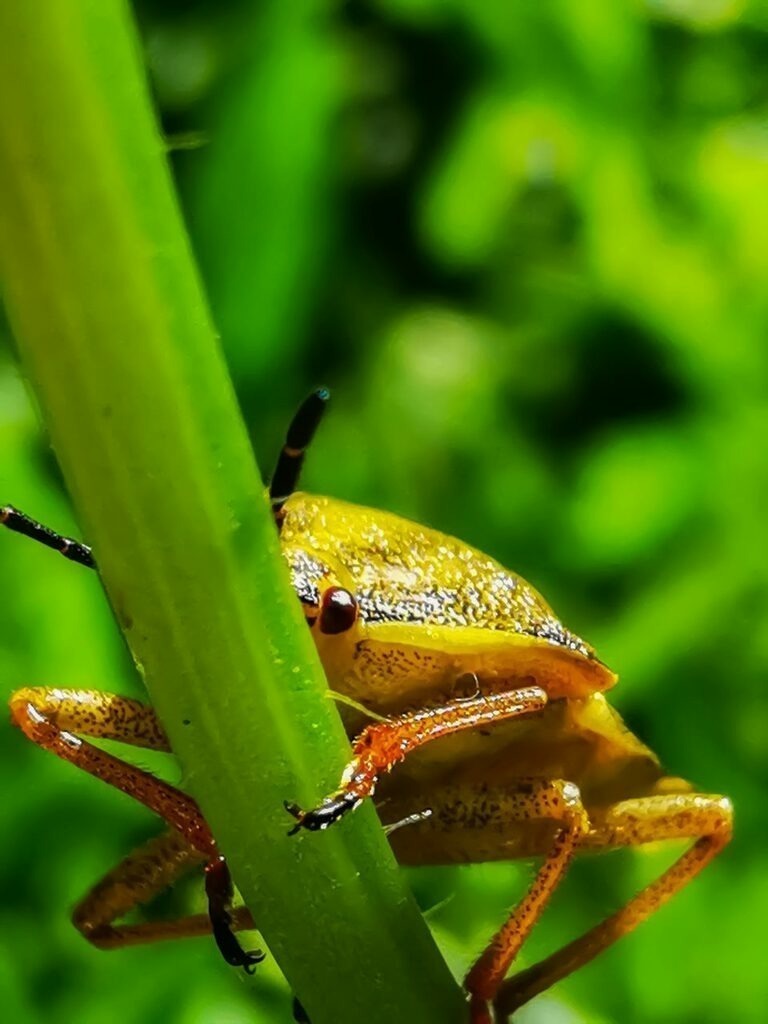 PSX_20220912_225214 | mtkfoto_ - Realisiert mit Pictrs.com