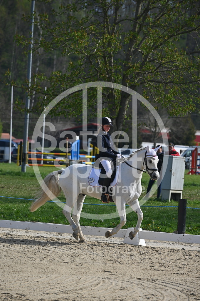 DSC_0550 | sattelsport - Realisiert mit Pictrs.com