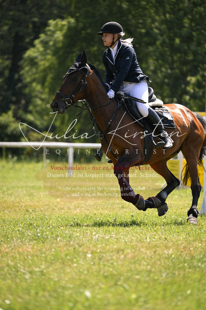 DSC_8918 | Pferde- und Turnierfotografie in Westsachsen. Pferdeportraits, Auftragszeichnungen und intuitive Kunst.