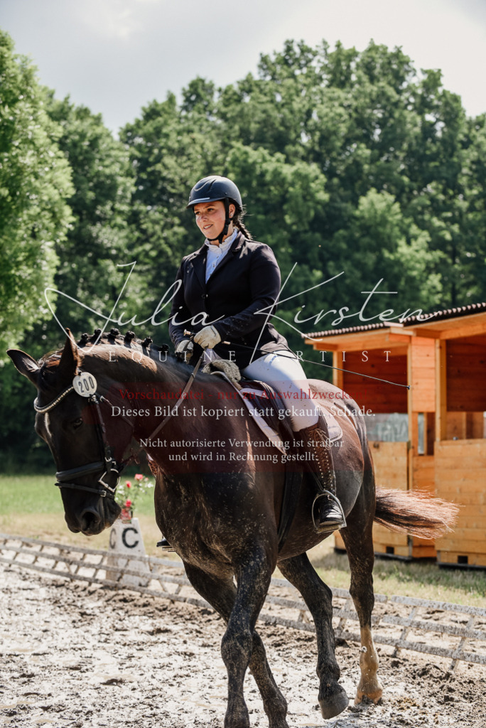 DSC_0174 | Pferde- und Turnierfotografie in Westsachsen. Pferdeportraits, Auftragszeichnungen und intuitive Kunst.