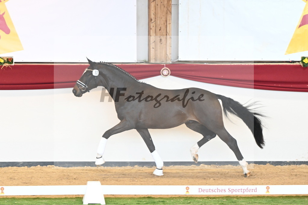 Kat.-Nr. 52 v. Friedrich der Große_Fischer_2240620 | hf-fotografie - Realisiert mit Pictrs.com