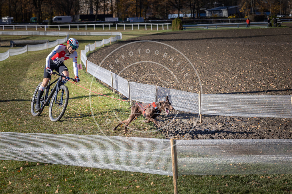 CaniXpix_DV3A5732 | Hundefotografie, Tierfotograf, Pfotenfotografie, Fotoshooting Hund, Hunde Portrait, Hundesport, Hundeportraits, Heideshooting, Hunde, Sportfotograf, Hundefotograf, Turnierhundsport, THS,  - Realisiert mit Pictrs.com