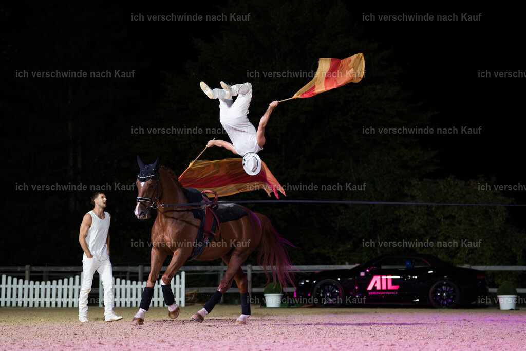 FHC2025 Show-00530 | working equitationturnier fotograf videograf stoibphotography marixx film working equitation deutschland reitsport turnierfotografie eventfotografie equestrian events
