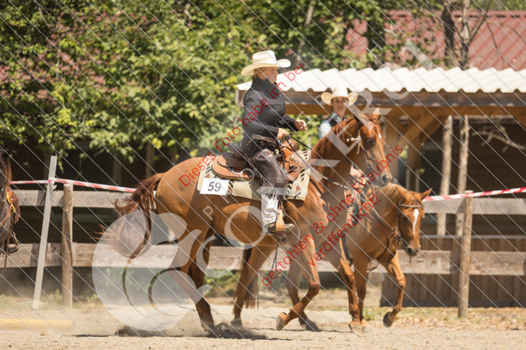 IMG_9859 | Sport-, Event- und Tierfotos in Profiqualität. Einfach auswählen, bestellen und herunterladen. Dein Moment – perfekt festgehalten.