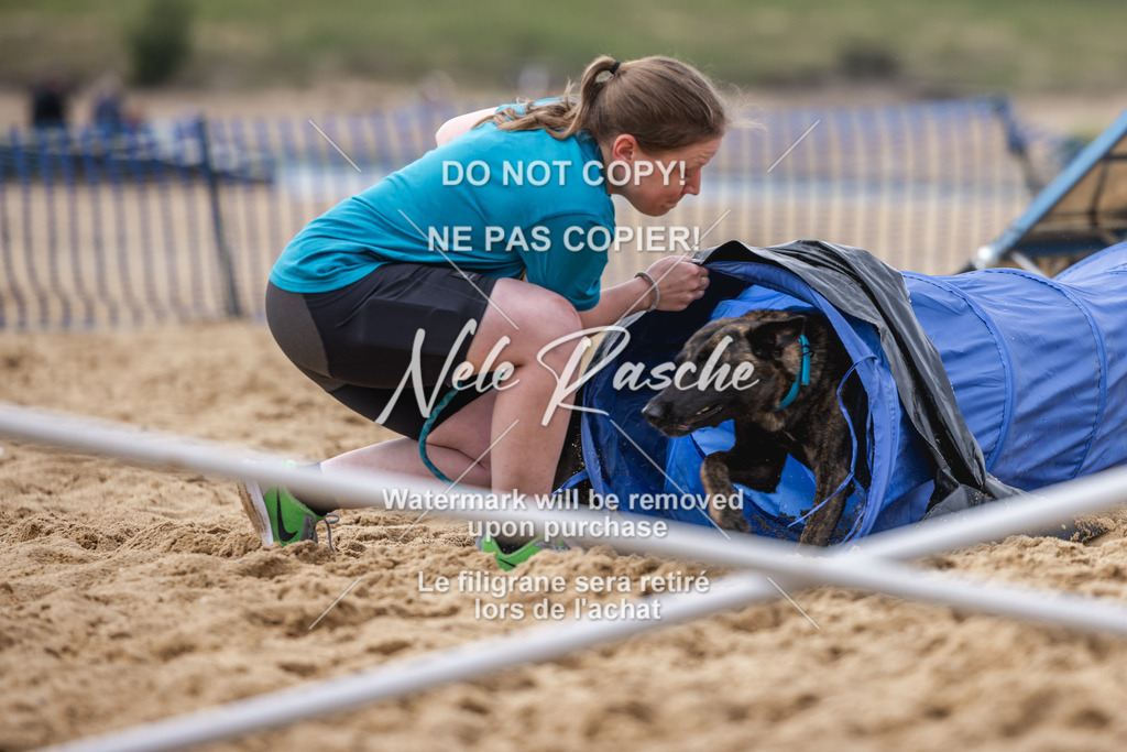nelerasche_BuHu2026_So1530-Ende_96 | nelerasche