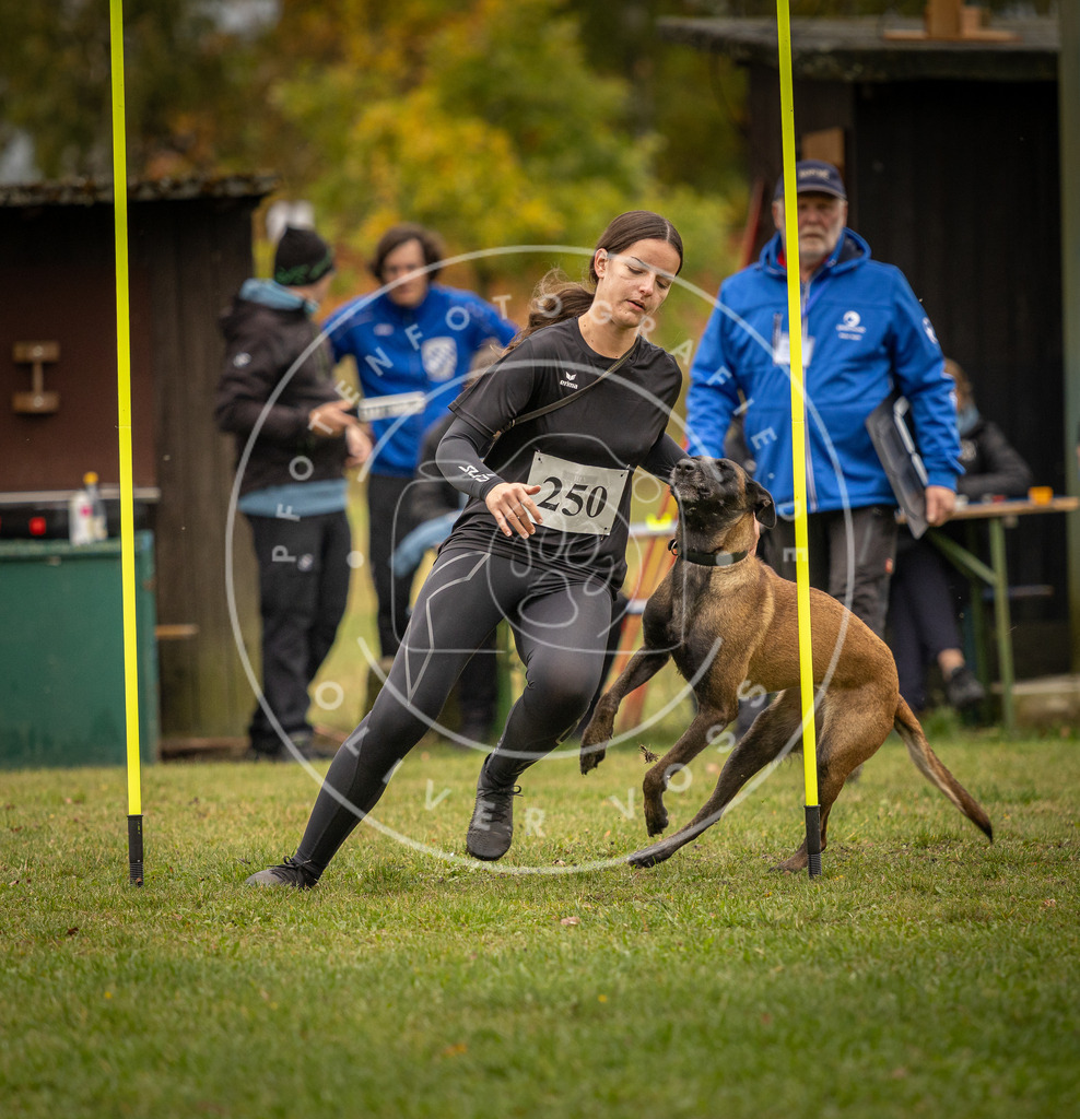 Pfotenfotografie_DV3A6046 | Hundefotografie, Tierfotograf, Pfotenfotografie, Fotoshooting Hund, Hunde Portrait, Hundesport, Hundeportraits, Heideshooting, Hunde, Sportfotograf, Hundefotograf, Turnierhundsport, THS,  - Realisiert mit Pictrs.com