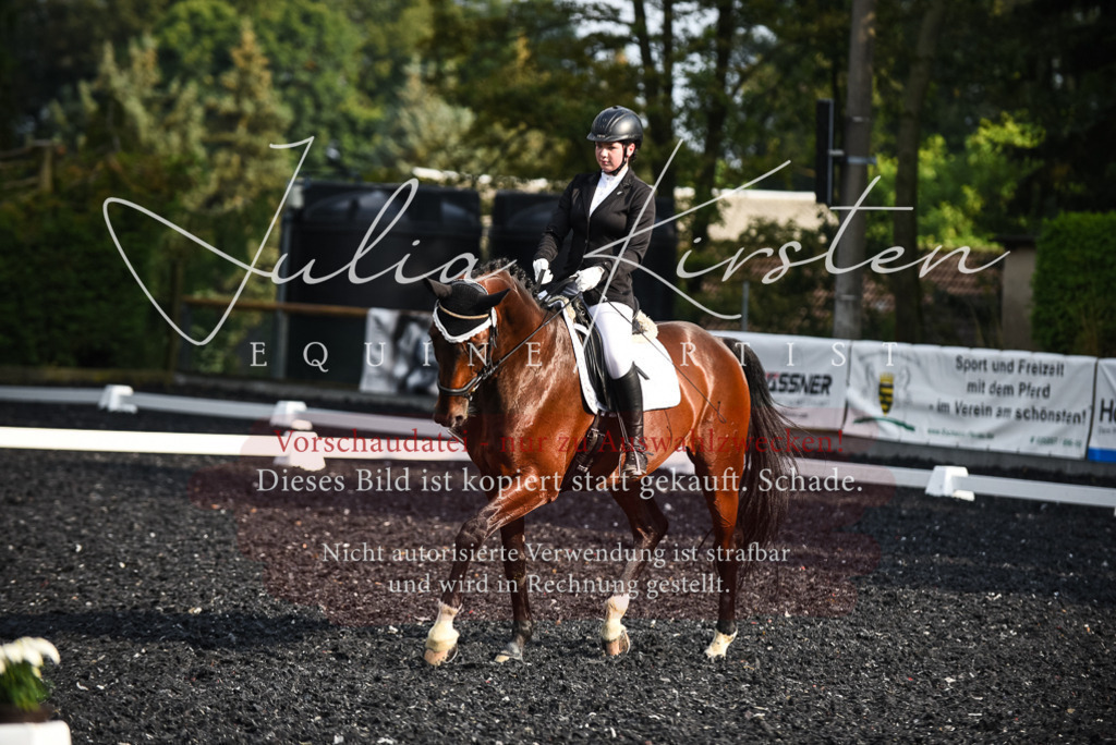 DSC_3328 | Pferde- und Turnierfotografie in Westsachsen. Pferdeportraits, Auftragszeichnungen und intuitive Kunst.
