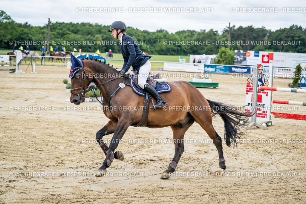 DSC04438 | Pferdegrafie