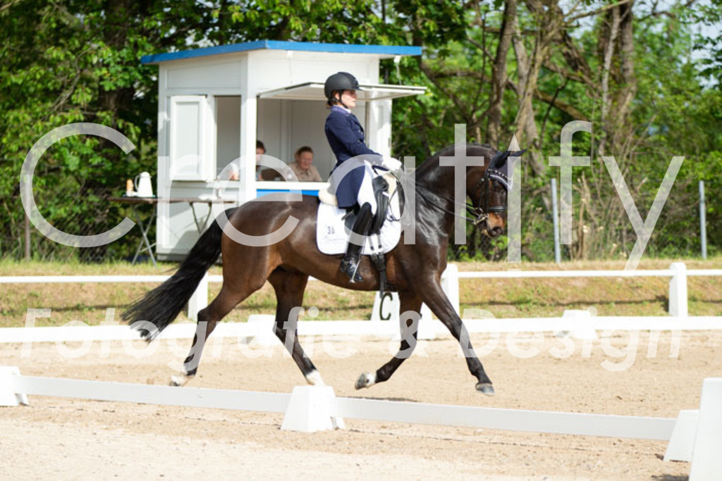 IMG_7542 | Creatify Fotografie