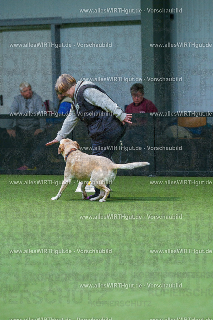 7R506316 | Professionelle Tierfotografie in Mönchengladbach von Daniel Wirth (allesWIRTHgut). Liebevolle & natürliche Bilder von Hunden & Katzen für unvergessliche Erinnerungen.