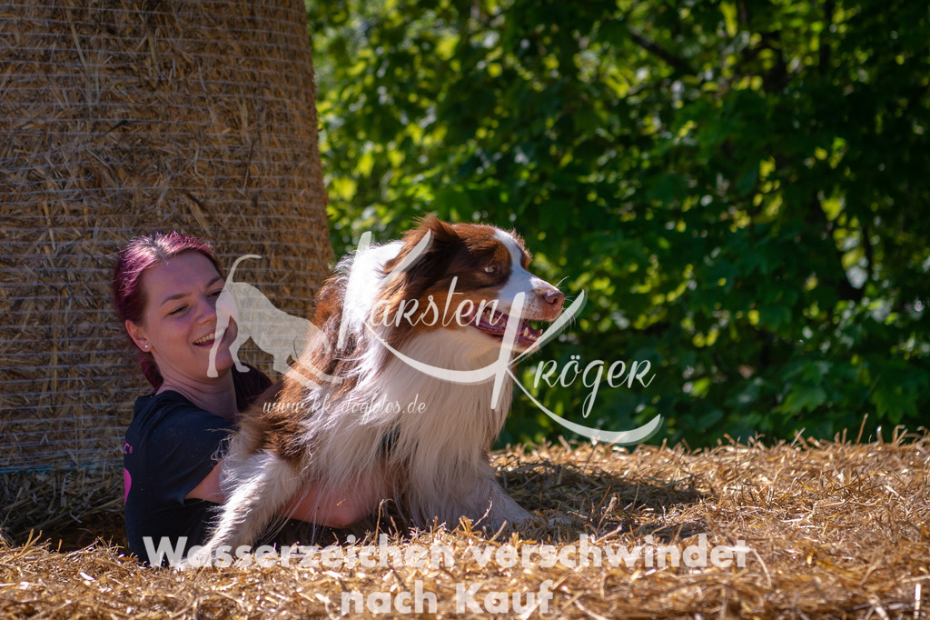 1039STR_5610 | kk-dogfotos