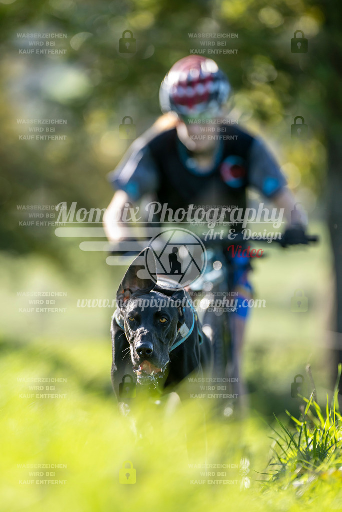 MompixPhotography_20TSB_E3_DS1-16 | PayLife