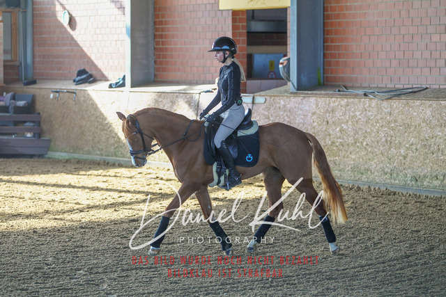 DKP42147 | Turniersportfotografie; Pferdefotografie; Dressurfotografie