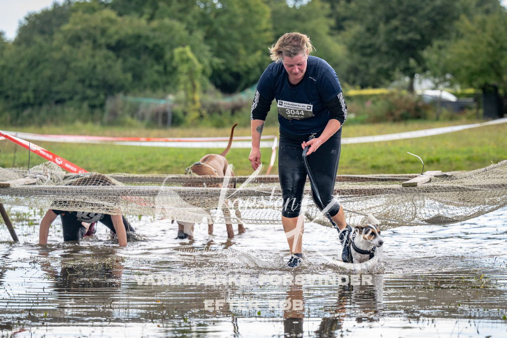 1348_ZZ90045 | kk-dogfotos