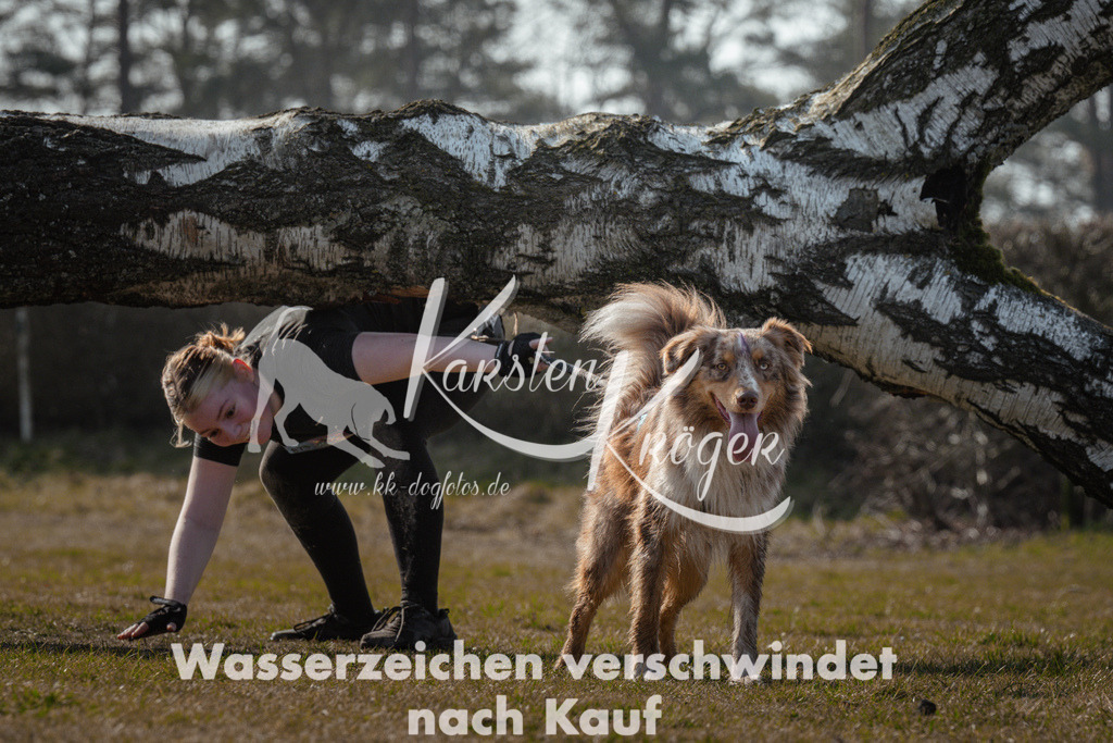 1104_ZZ94425 | kk-dogfotos