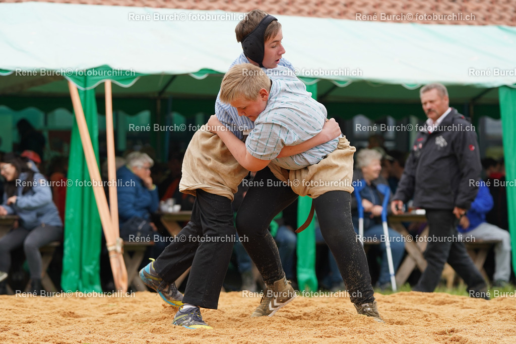 20220423-DSC08196 (2) | René Burch leidenschaftlicher Fotograf aus Kerns in Obwalden.  Hier finden sie Sport, Landschaft und Natur Fotografie.
 - Realisiert mit Pictrs.com