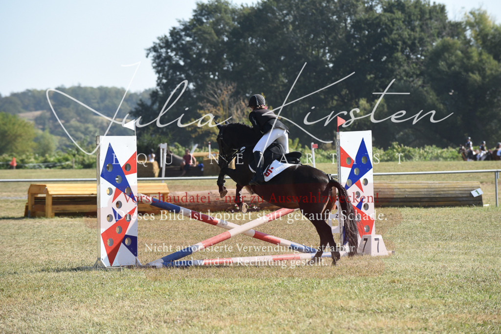 DSC_6116 | Pferde- und Turnierfotografie in Westsachsen. Pferdeportraits, Auftragszeichnungen und intuitive Kunst.
