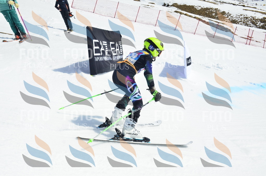 _ELE1375 | holidayphoto