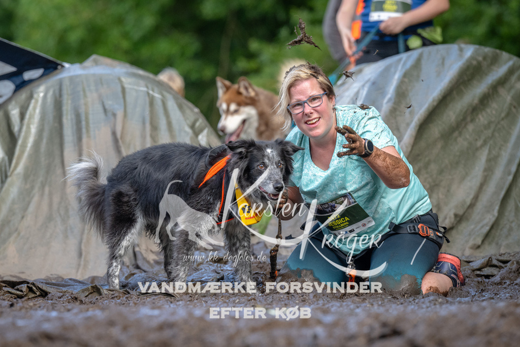 1717_ZZ91942 | kk-dogfotos