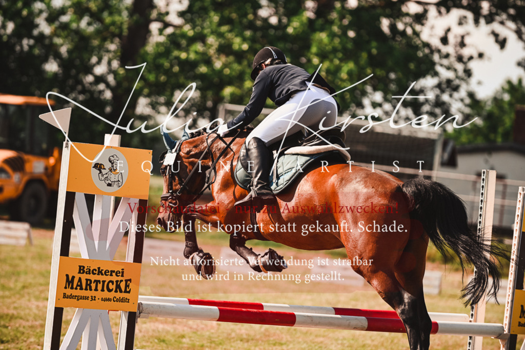 DSC_7382 | Pferde- und Turnierfotografie in Westsachsen. Pferdeportraits, Auftragszeichnungen und intuitive Kunst.