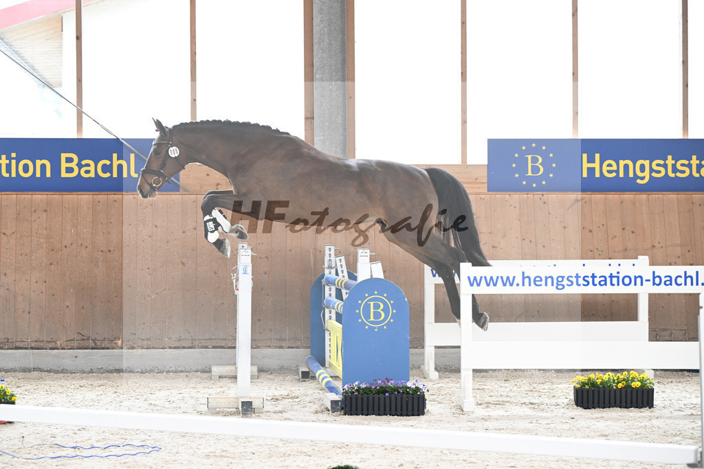 Kat-Nr. 8 nn v. Vigaro_Rau_5250251 | hf-fotografie - Realisiert mit Pictrs.com