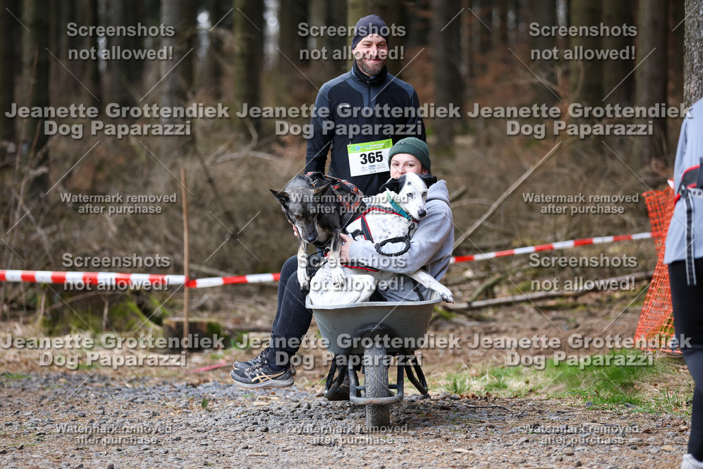Dog Paparazzi - VCC26-731 | Dog Paparazzi Jeanette Grottendiek Fotografie & Videografie - Realisiert mit Pictrs.com