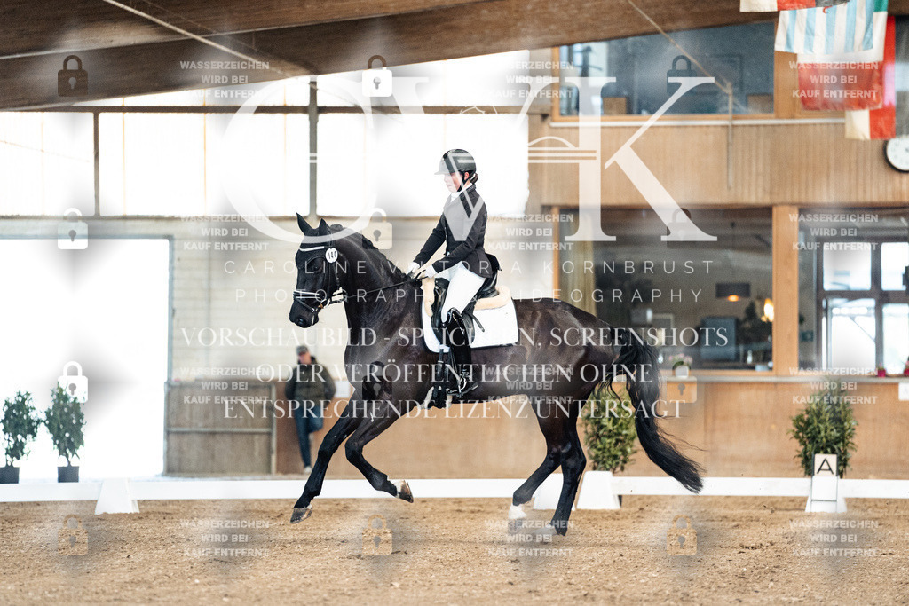 CK900682 | Turnierfotografie Pferdefotografie Trier Rheinland-Pfalz Pferdesport Reitsport Tierfotografie Sportfotografie Pferdevideo Pferdevideografie Equestrianvideography equestrianphotography  - Realisiert mit Pictrs.com