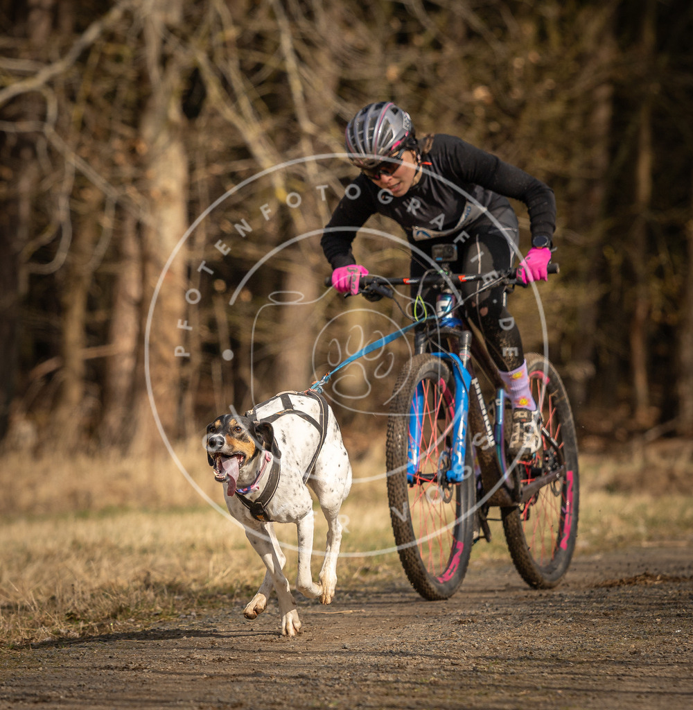 DV3A4235 | Hundefotografie, Tierfotograf, Pfotenfotografie, Fotoshooting Hund, Hunde Portrait, Hundesport, Hundeportraits, Heideshooting, Hunde, Sportfotograf, Hundefotograf, Turnierhundsport, THS,  - Realisiert mit Pictrs.com