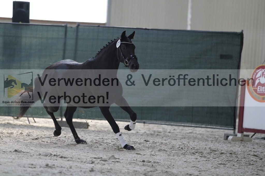 _MG_9833 | equestrian-live-com