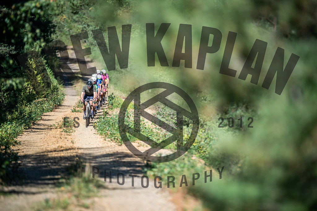 DKP-2060 | Drew Kaplan Photography