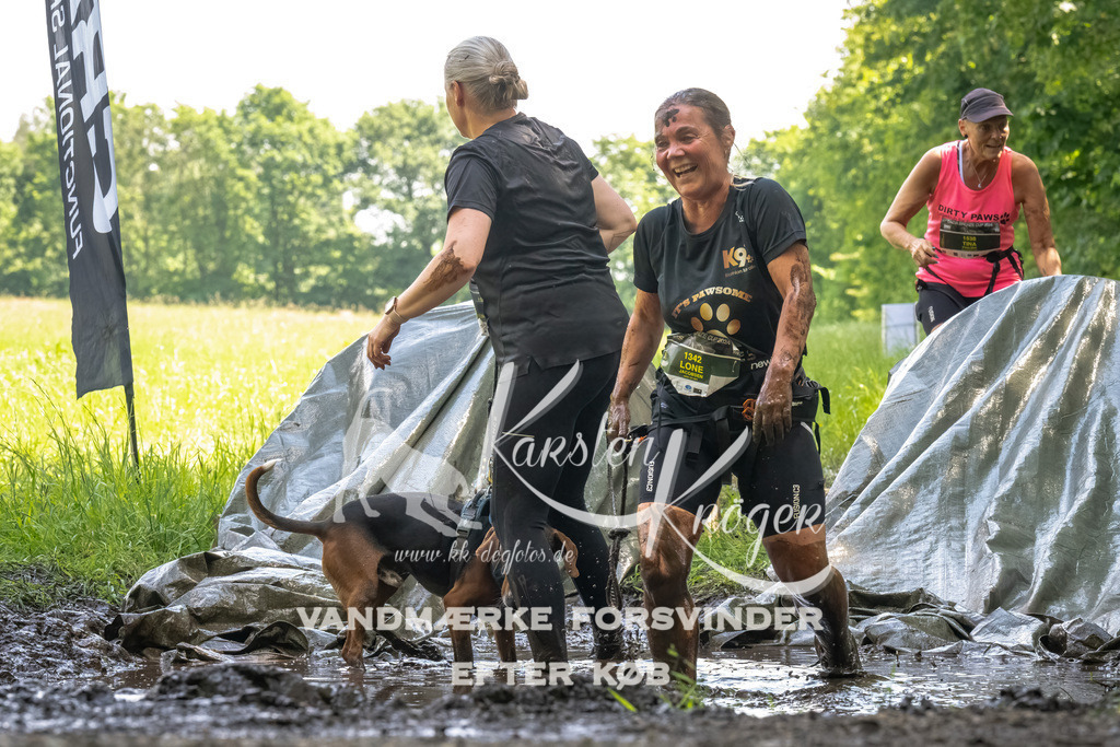 1200_ZZ90871-Bearbeitet | kk-dogfotos