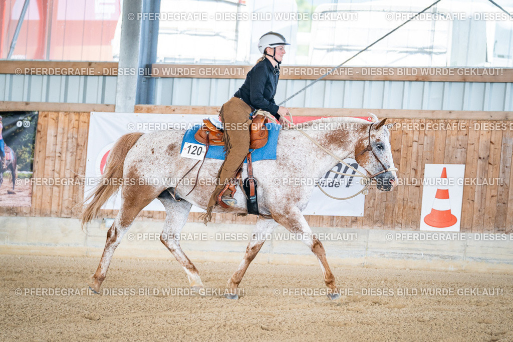 DSC01896 | Pferdegrafie