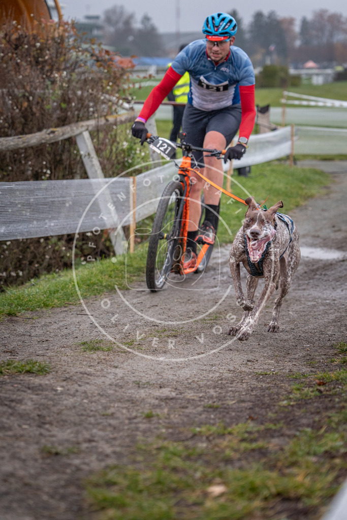 CaniXpix_0L8A0715 | Hundefotografie, Tierfotograf, Pfotenfotografie, Fotoshooting Hund, Hunde Portrait, Hundesport, Hundeportraits, Heideshooting, Hunde, Sportfotograf, Hundefotograf, Turnierhundsport, THS,  - Realisiert mit Pictrs.com
