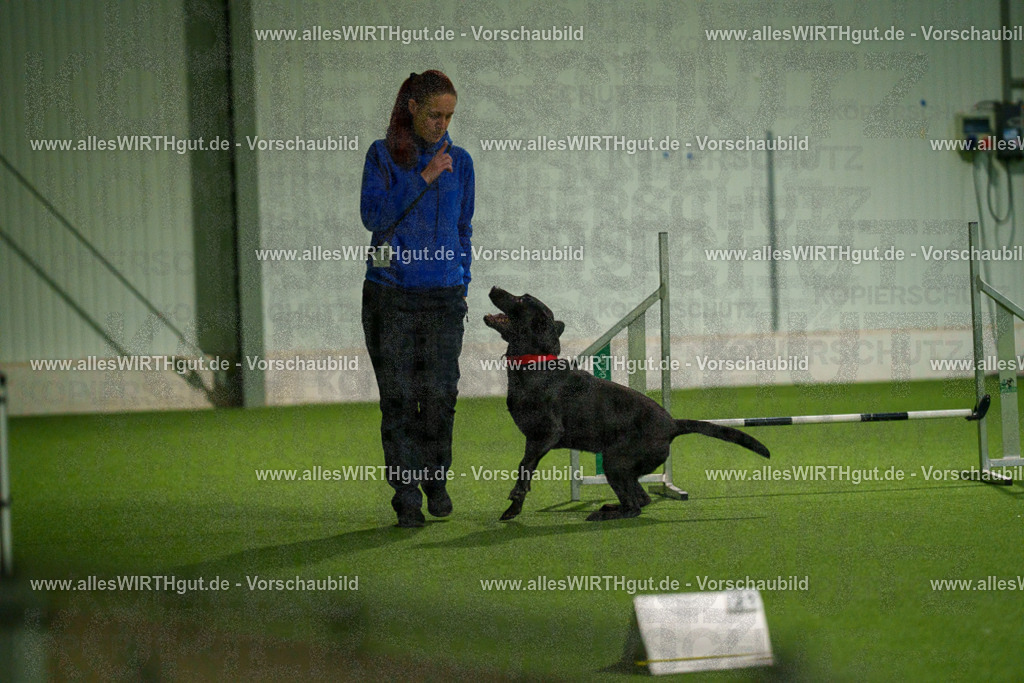 7R508470 | Professionelle Tierfotografie in Mönchengladbach von Daniel Wirth (allesWIRTHgut). Liebevolle & natürliche Bilder von Hunden & Katzen für unvergessliche Erinnerungen.