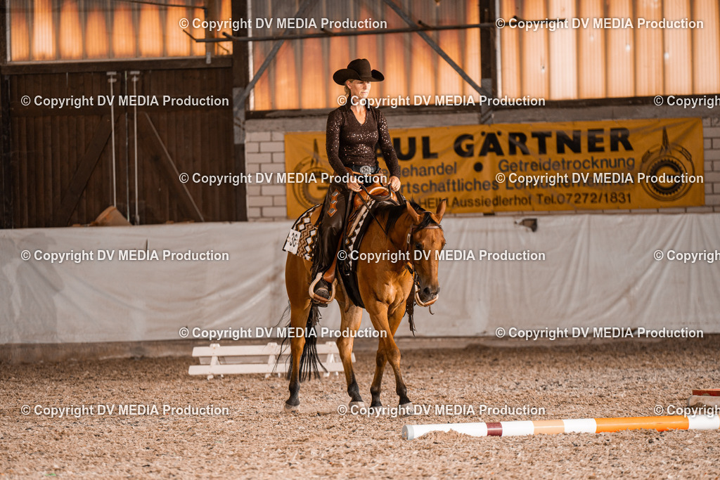 ZH200608 | dv-media-shop - Realisiert mit Pictrs.com