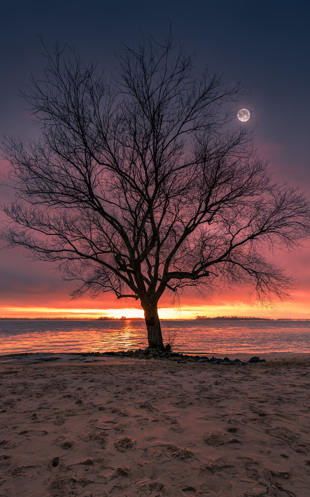 Natur-in-Bildern-by-stativkunst.de-015 | Exklusive Hamburg collagen, tolle Segelbilder und viele weitere tolle Motive auf Leinwand, Poster, Alu-Dibond, u.v.m. findet Ihr bei uns auf hamburgbild.de. Findet Euer Wandbild für Euer Zuhause, Büro oder die  Praxis…. - Realisiert mit Pictrs.com