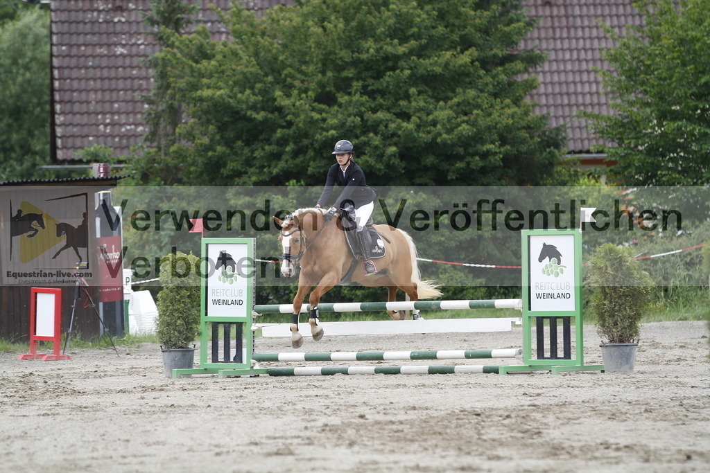 _MG_6525 | equestrian-live-com